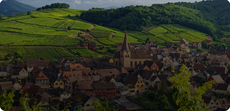 Les vignobles d’Alsace, terre d’œnotourisme