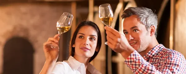 circuits de degustation a ne pas louper en France