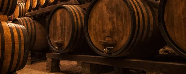 les tresors des caves viticoles françaises une plongee dans l excellence vinicole